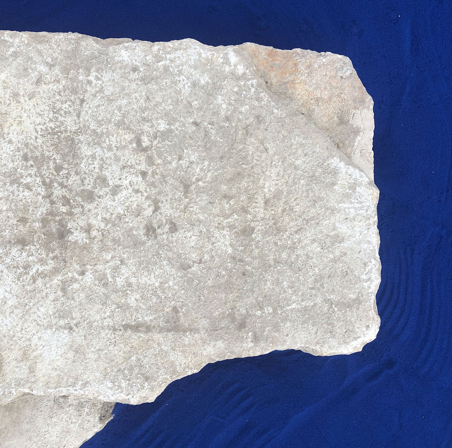 Pietra su fondo sabbioso blu – dettaglio materico